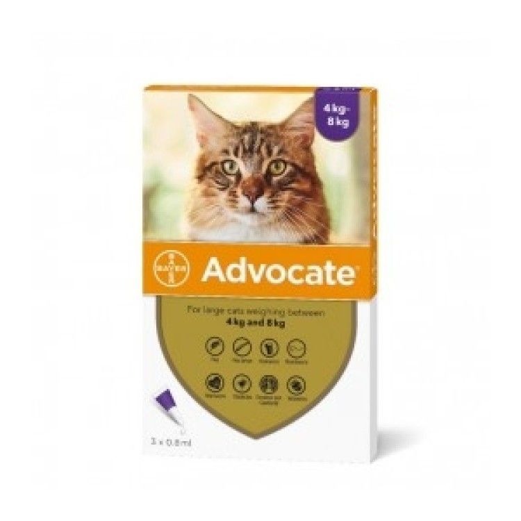 Advocate Cat 4-8 kg x 1 pipete
